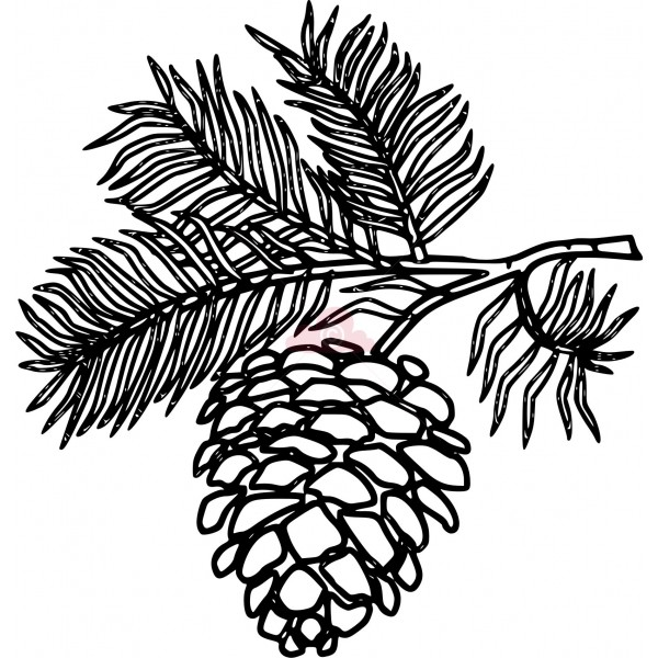 600x600 White Pine Cone Drawing Clip Art Pine Cone Clipart Panda