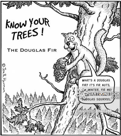 400x449 Douglas Fir Cartoons And Comics