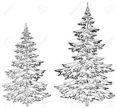 236x218 Drawings Of Old Pine Tree Christmas Trees Under Snow On A White