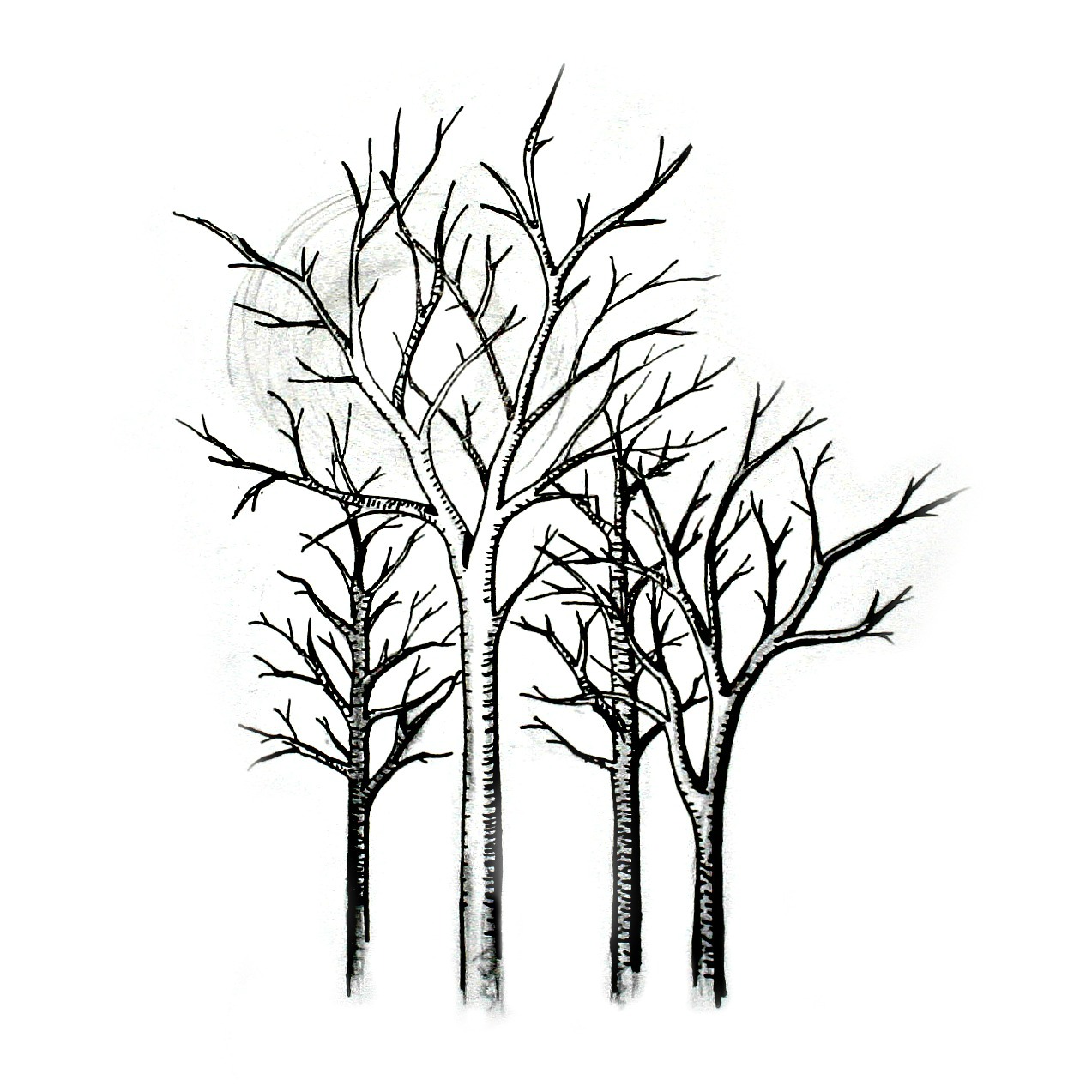 1273x1273 Art, Drawing, Black, White, Blackandwhite, Illustration, Forest