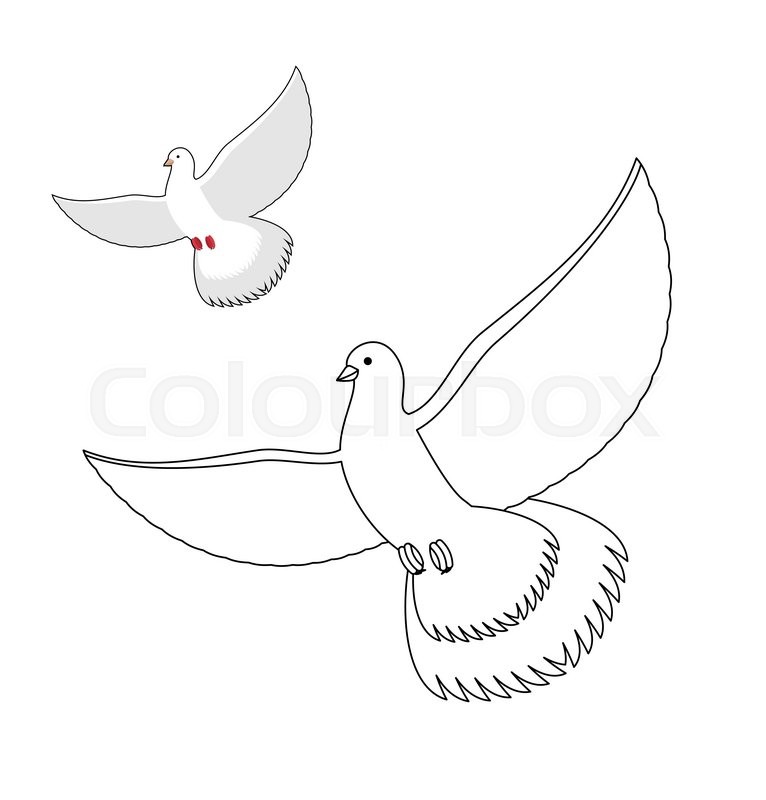 766x800 White Dove Coloring Book. Flying White Pigeon. Contour Bird Waving