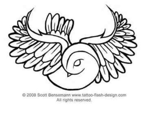 489x369 Dove Bird Drawing Tattoo Images Amp Pictures