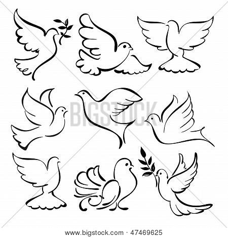 450x470 Abstract Dove Sketch Set Vector Vector Amp Photo Bigstock