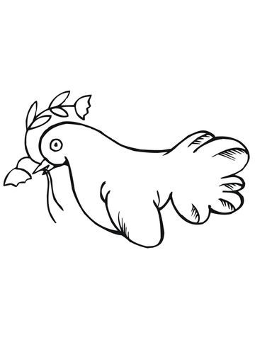 360x480 Dove With Olive Branch Coloring Page Free Printable Coloring Pages