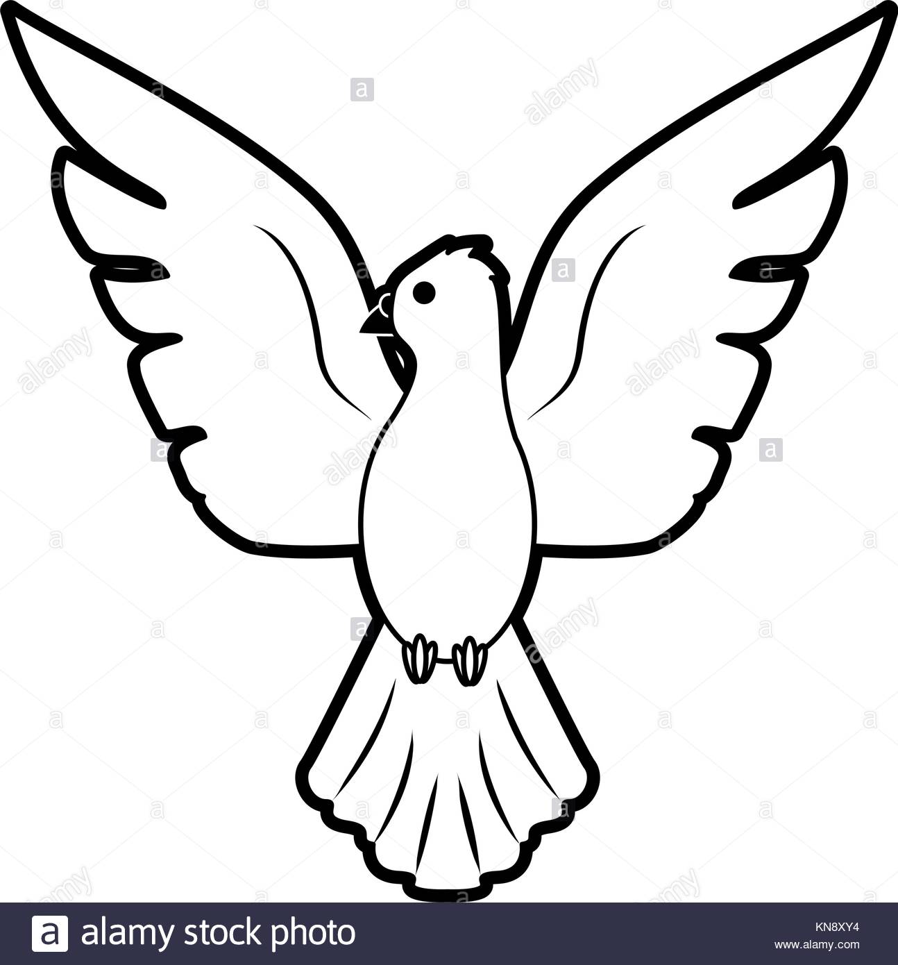 1294x1390 Drawing Bird Pigeon Freedom Peace Stock Photos Amp Drawing Bird