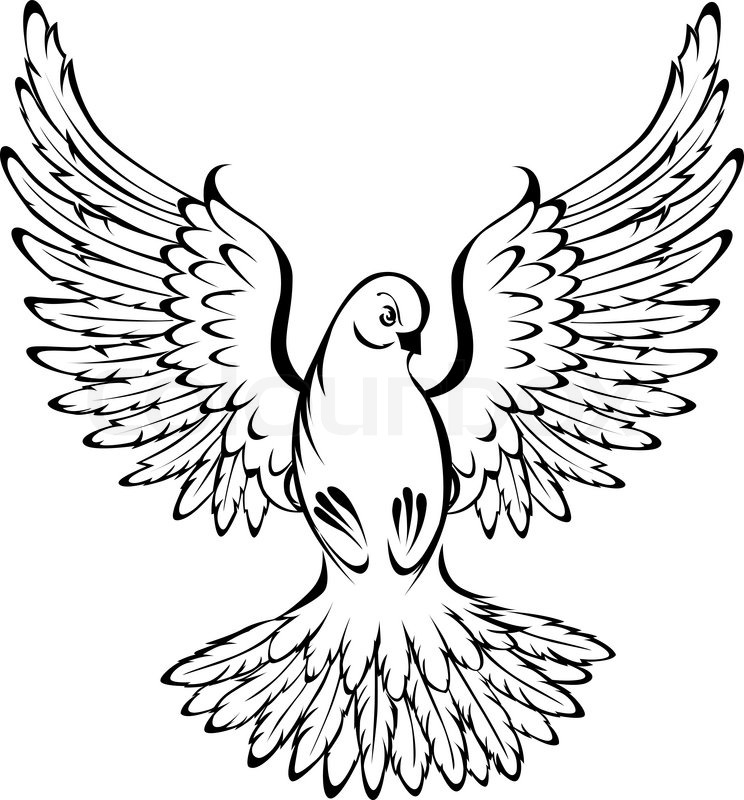 744x800 Arts Of Painted, Flying, Dove Outline On A White Background
