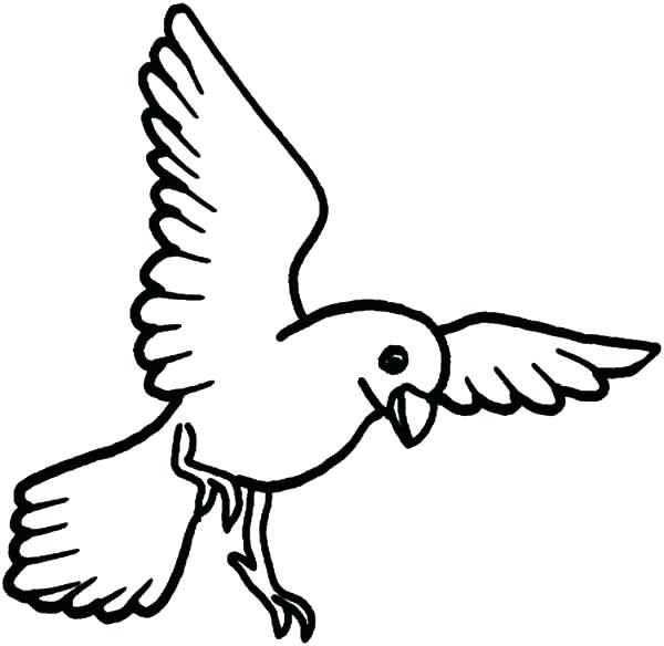 600x584 Minimalist Bird Coloring Pages Print Page Dove Animal Of For Kids