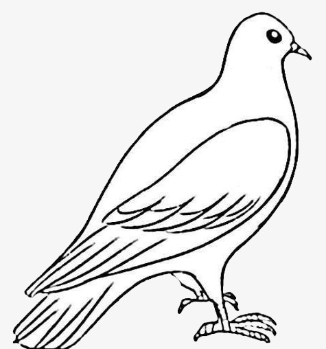 475x508 Stick Figure Dove, Jane Pen, Pigeon, Cartoon Png Image For Free