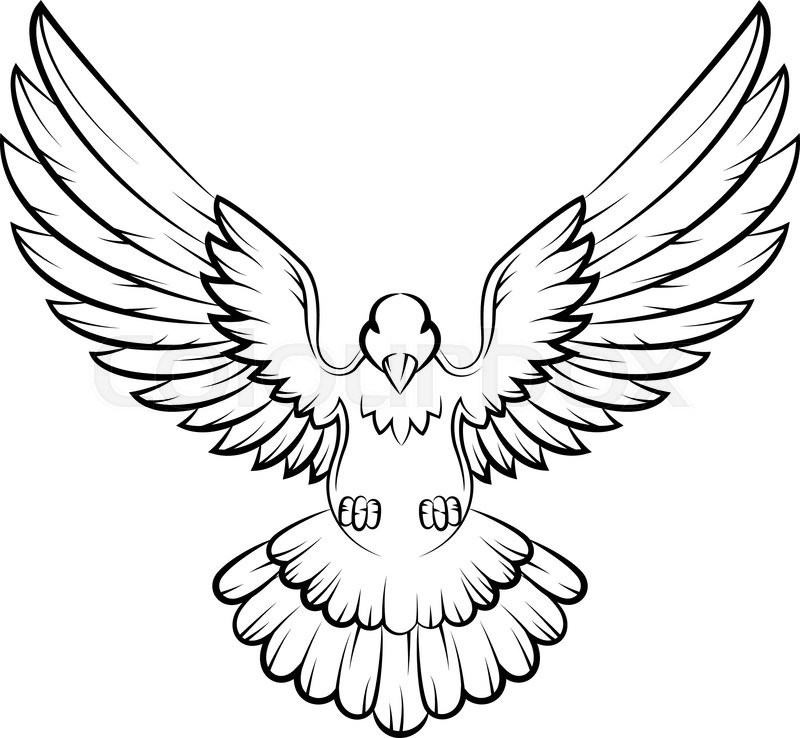 800x738 Vector Illustration Of Cartoon Dove Birds Logo For Peace Concept