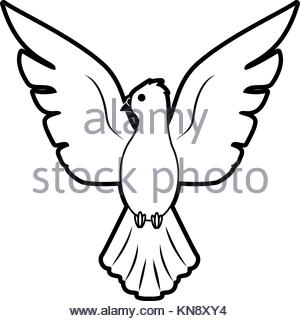 300x321 White Dove Cartoon Stock Vector Art Amp Illustration, Vector Image