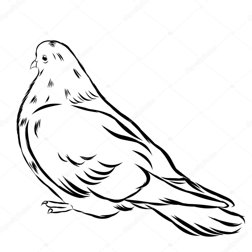 1024x1024 Romantic Grace White Dove Isolated On Background. Ink Drawn Icon
