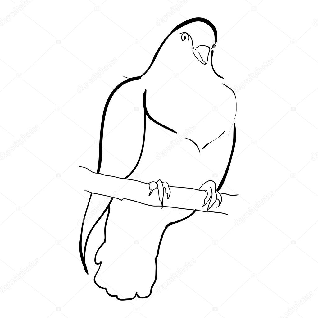 1024x1024 Dove On Branch Sketch Doodle Stock Vector Zsmart