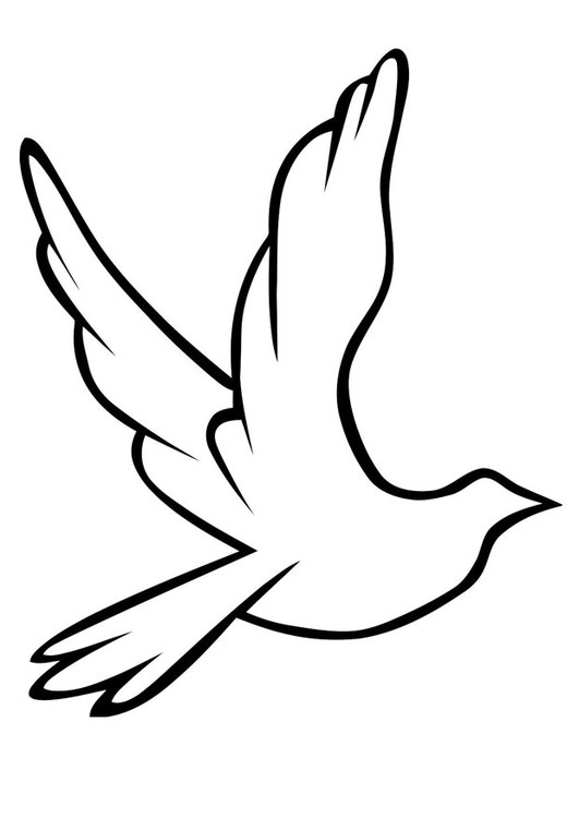 531x750 Coloring Page Dove