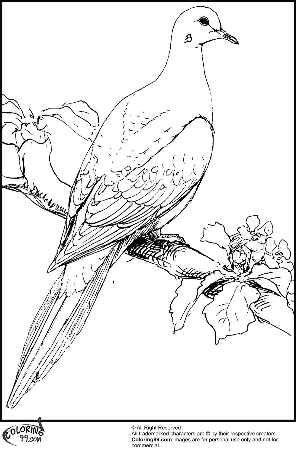 980x1500 Dove Coloring Pages Minister Coloring