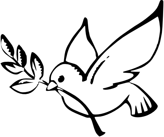 555x463 Dove Peace Black White Line Art Christmas Xmas Peace On Earth