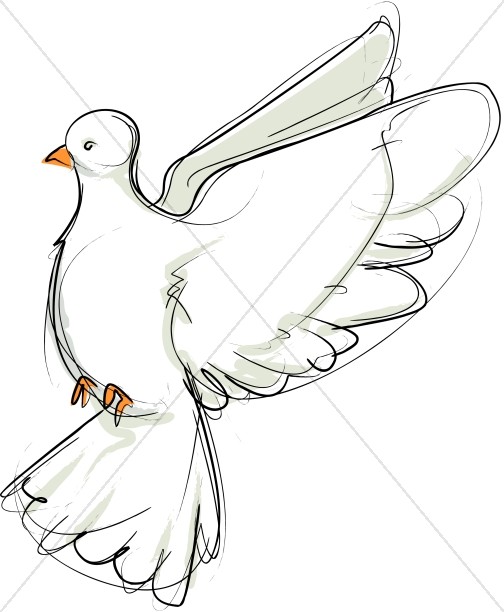 504x612 Flying Dove Sketch Facing Left Dove Clipart