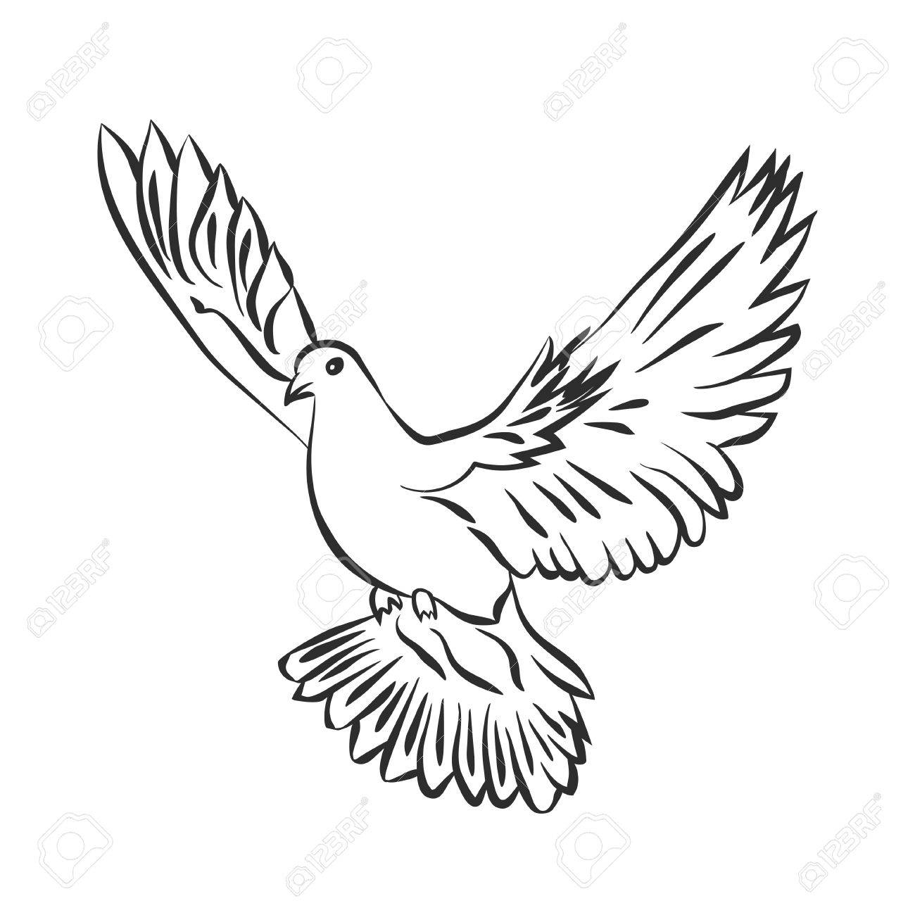 1300x1300 Flying Dove Vector Sketch. Dove Of Peace. Svector Illustration