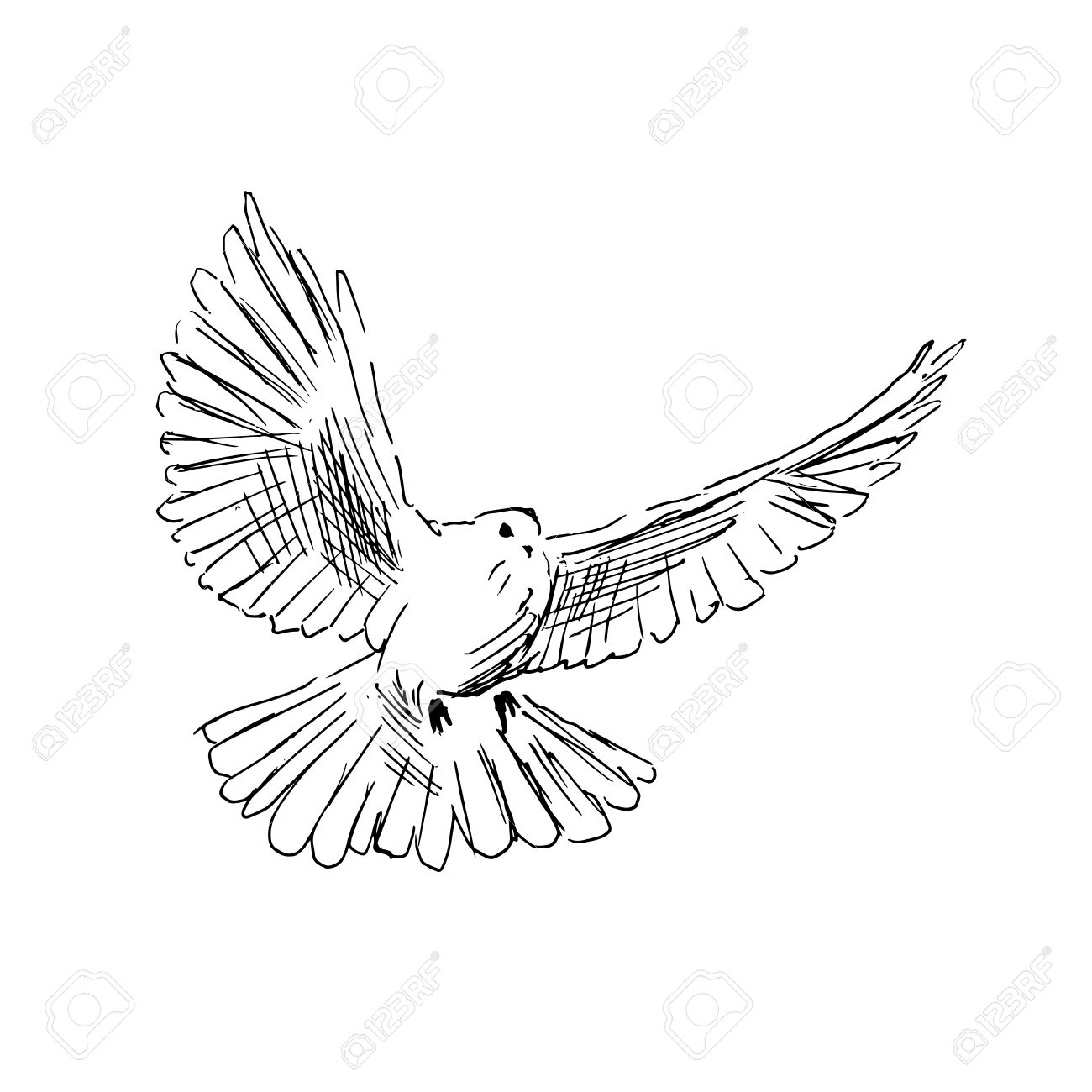 1300x1300 Hand Drawing Dove Royalty Free Cliparts, Vectors, And Stock