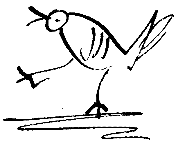 613x511 Drawn Turtle Dove Simple