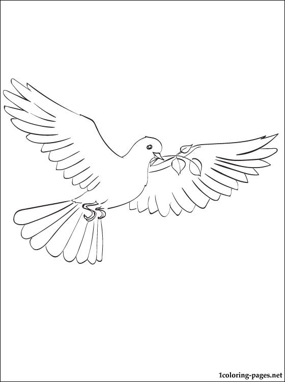 560x750 Free Dove Line Drawing Coloring Pages