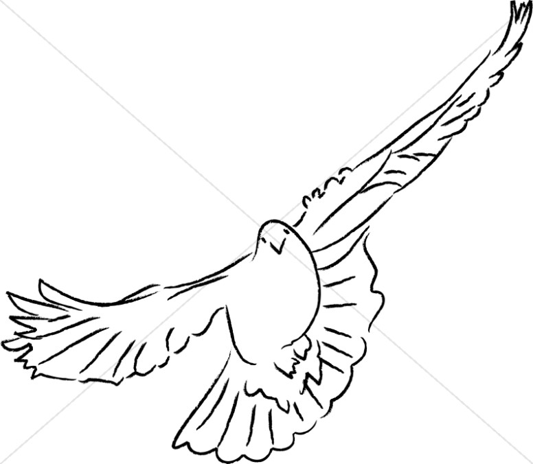 776x676 Dove Line Drawing Dove Clipart
