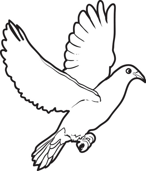 596x700 Free, Printable Dove Coloring Page For Kids