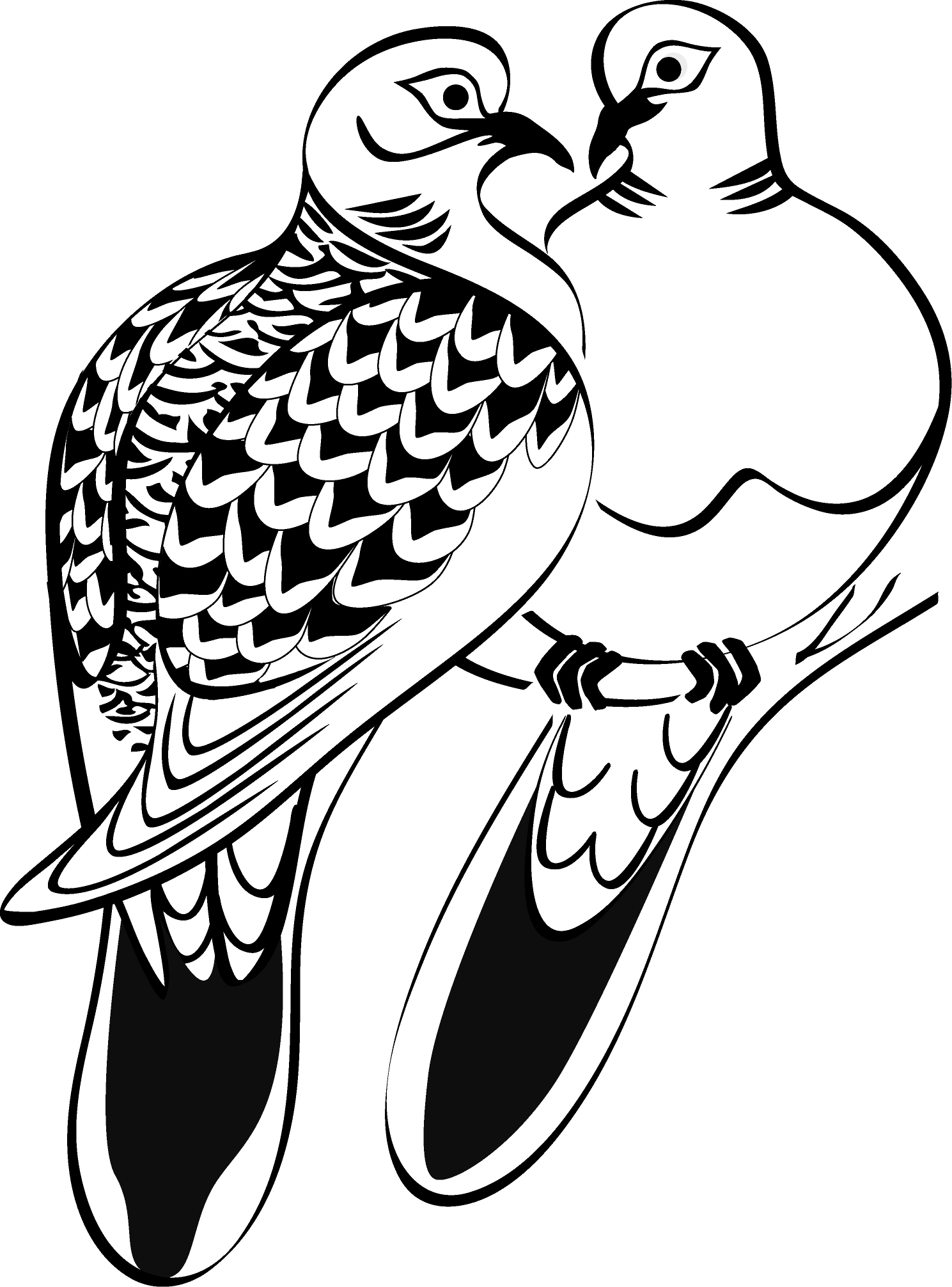 1489x2012 Turtle Dove Clipart Drawn