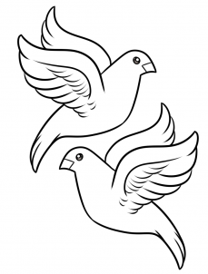 229x302 How To Draw Turtle Doves Step 6 12 Days Of Christmas