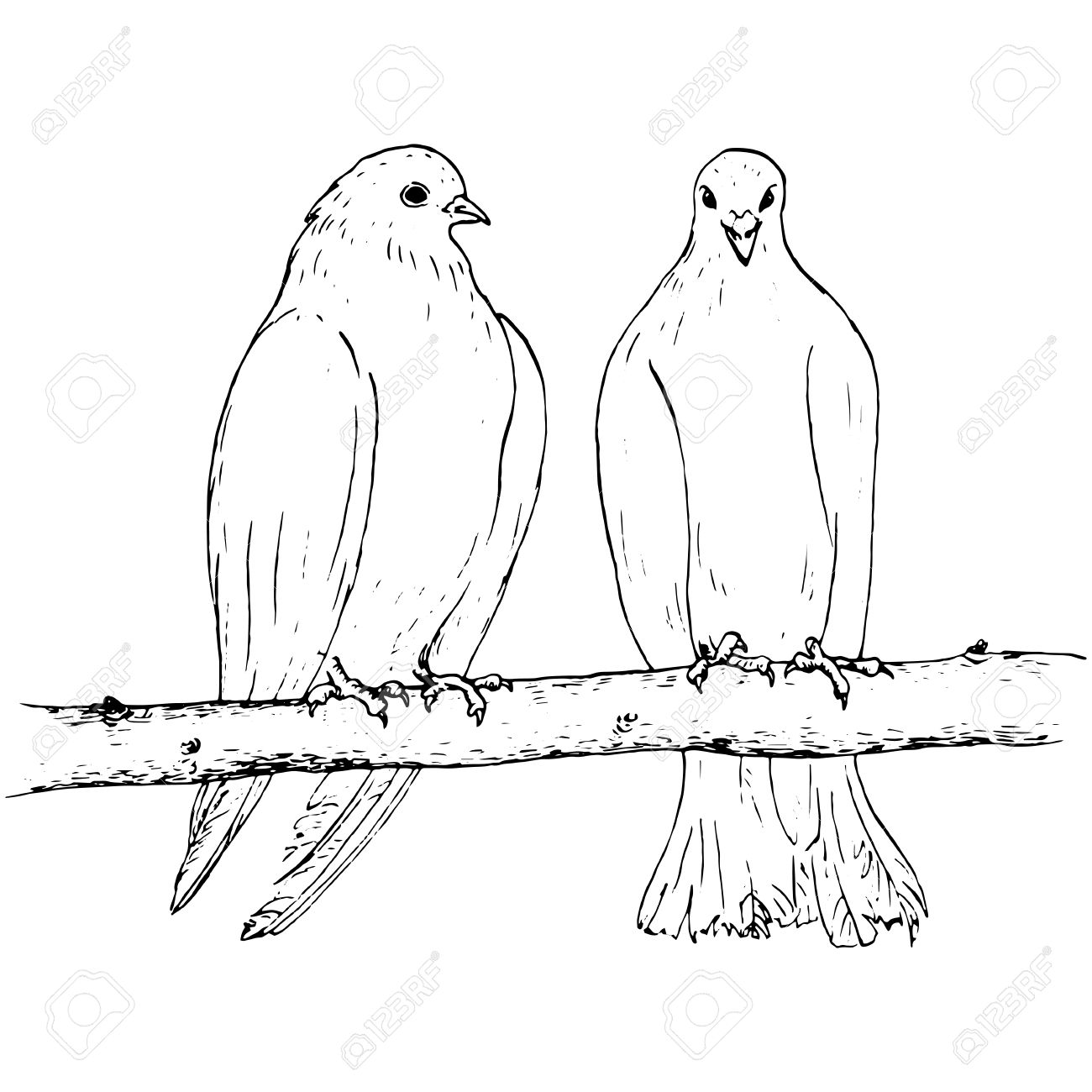 1300x1300 Tattoos Of Doves Bing Images. Dove Drawing Step 3 From Cgatticca