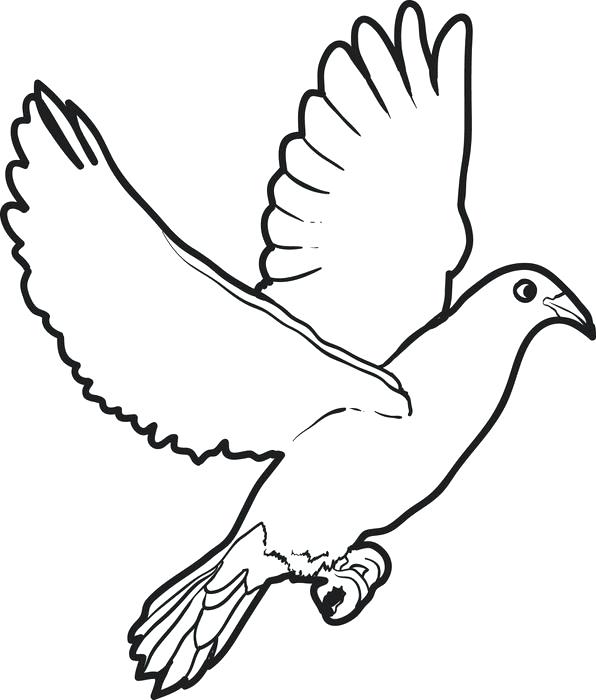 596x700 Classy Dove Coloring Page Image Home Accidental How To Draw A Best