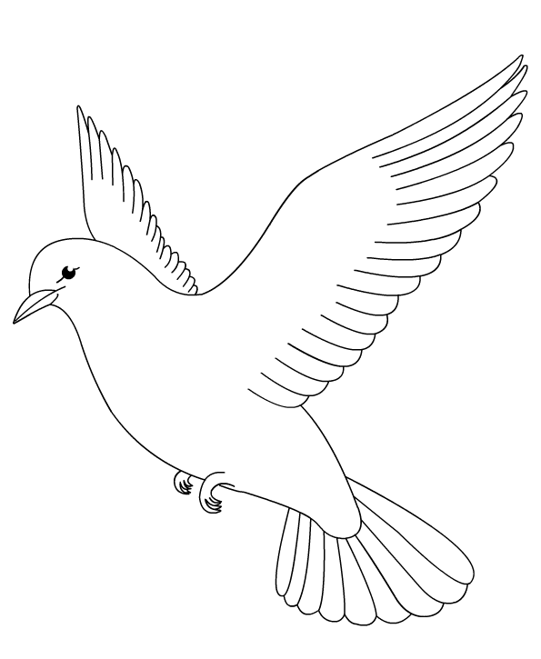 595x725 Dove