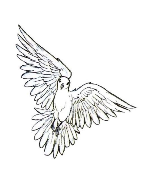 Dove Drawing Tattoo at GetDrawings | Free download