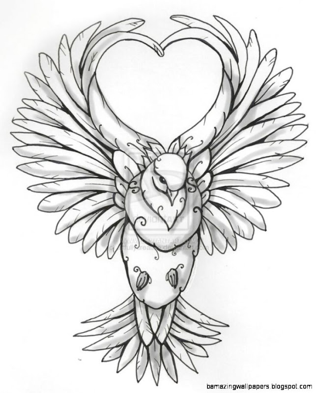 Dove Drawing Tattoo at GetDrawings | Free download