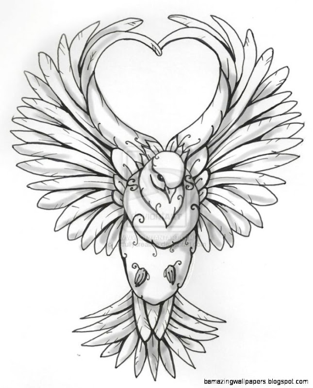 645x800 Dove Drawing Tattoo Amazing Wallpapers