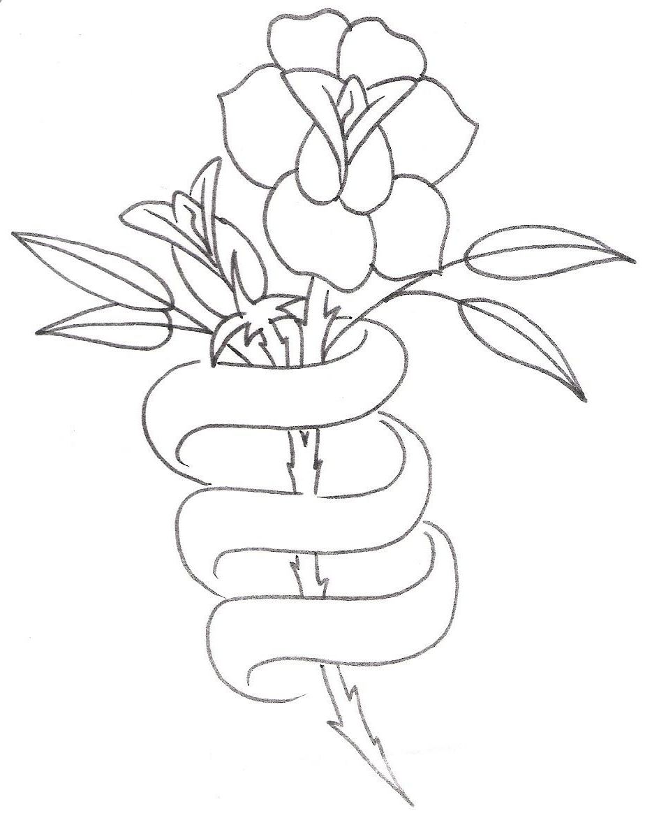 924x1171 Dove With Ribbon Tattoo Dove With Ribbon Tattoo Sketch