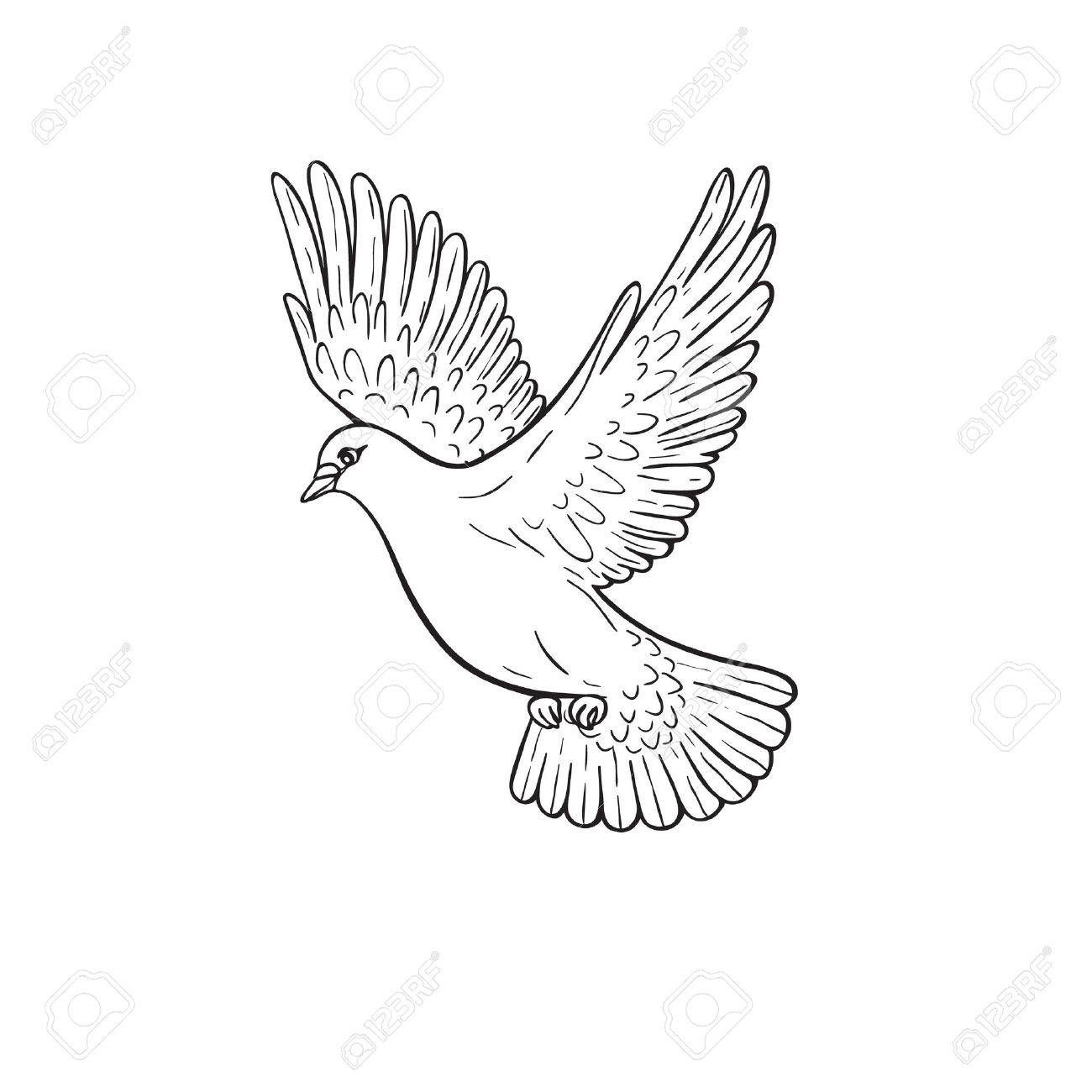 1300x1300 Simplified Image Of Flying Dove Isolated On White. Hand Drawn