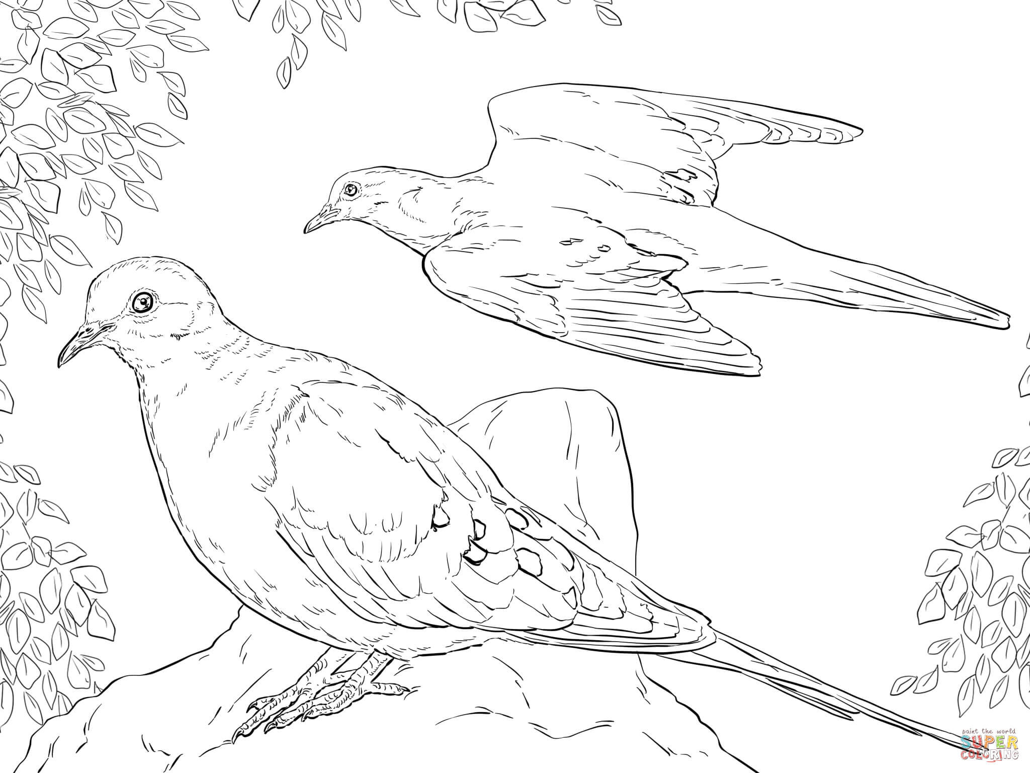 2048x1536 Two Mourning Doves Coloring Page Free Printable Coloring Pages