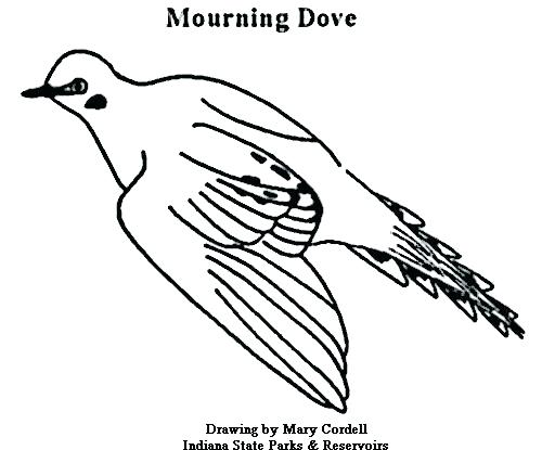 500x415 Classy Dove Coloring Page Image Peace Pages Animals Flying Col