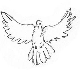 279x243 Dove Flight