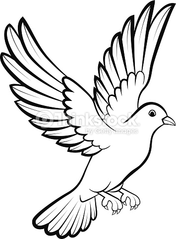 355x483 Drawn Dove Flying Pigeon