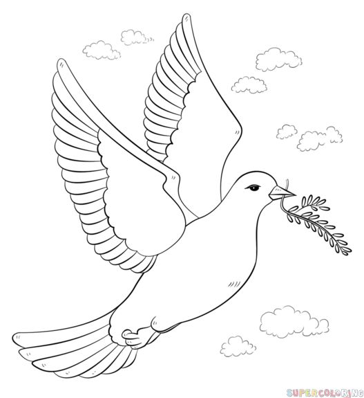 527x575 Drawn Dove Front View