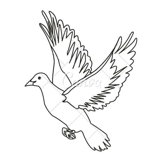550x550 Flying White Dove On White Background As Symbol Of Peace