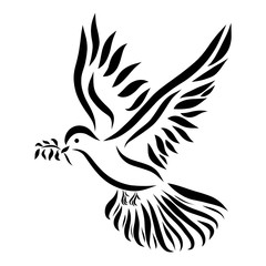 240x240 Search Photos Dove Of Peace