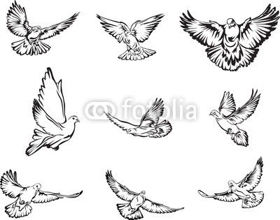 400x315 Dove Buy Photos Ap Images Search