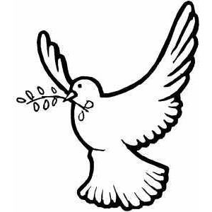 300x300 Dove Coloring Pages