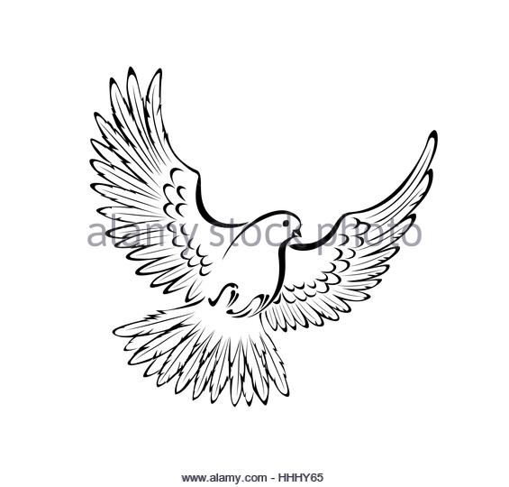 Dove In Flight Drawing at GetDrawings | Free download