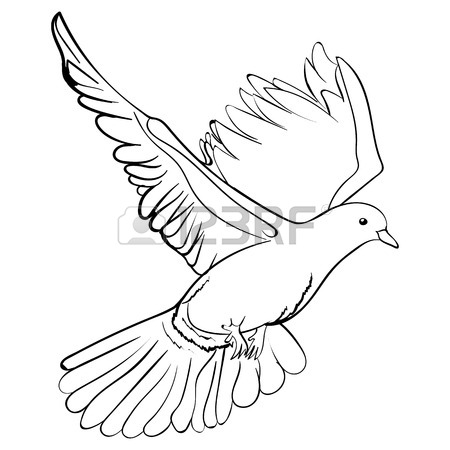 450x450 Free Flying White Dove, Sketch Style Vector Illustration Isolated