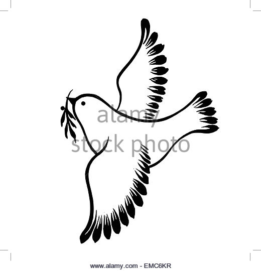 520x540 Hand And Peace Dove Black And White Stock Photos Amp Images