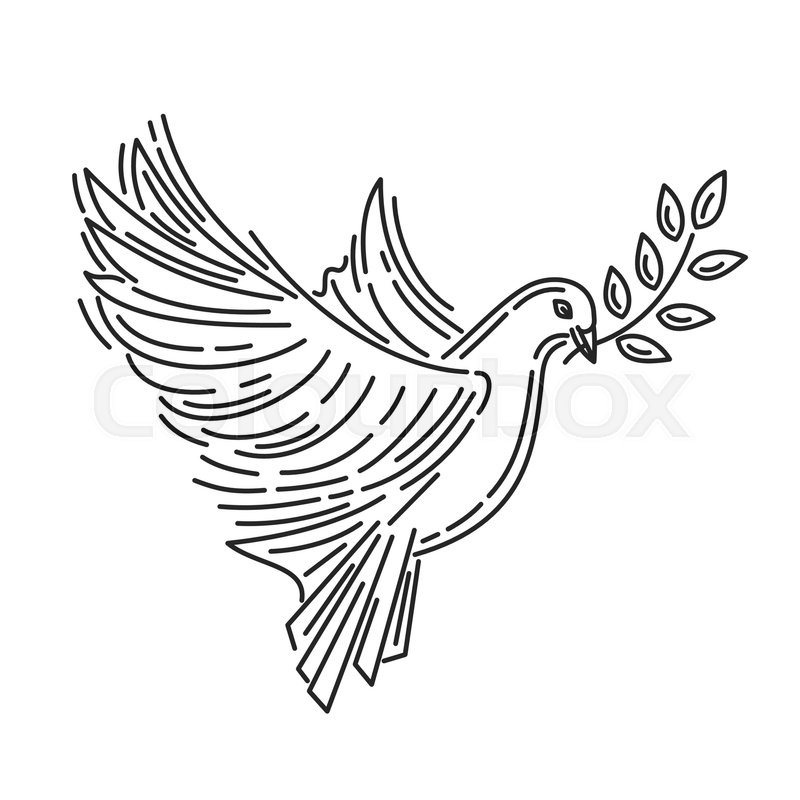 800x800 Pigeon Of Peace With An Olive Branch In Its Beak. Dove Of Peace
