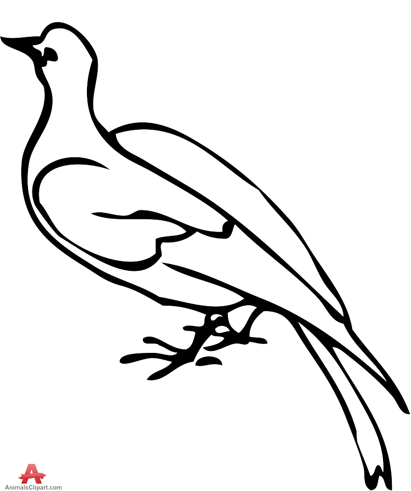 837x999 Dove Outline Vector Clipart Free Clipart Design Download